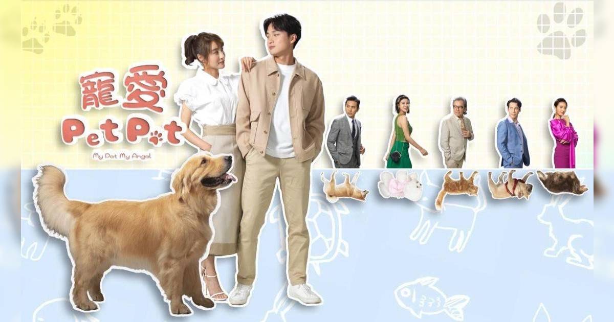 寵愛Pet Pet劇情｜20集TVB線上看主題曲：周嘉洛林夏薇譜姊弟戀| 劇情| 東方新地